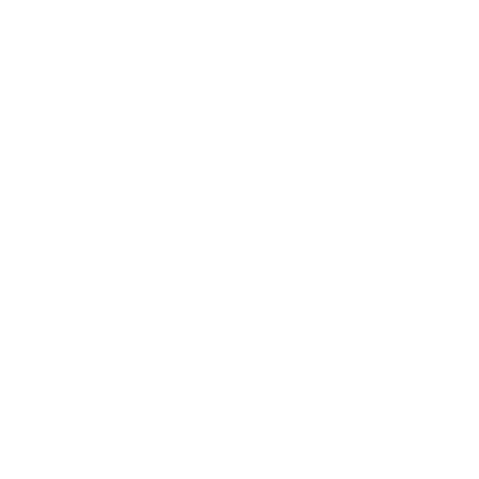 PAYAGE logo