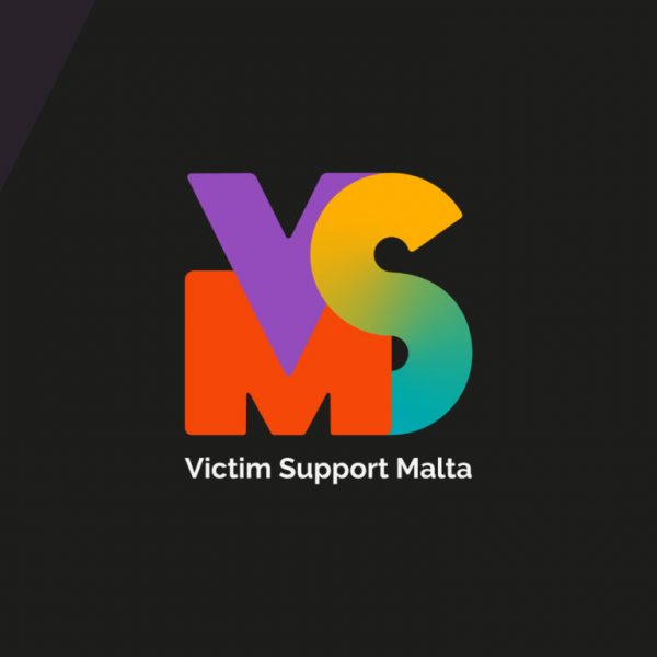 VSM 1